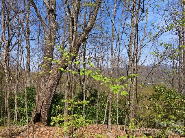 9999 Lytle Cove Road Road, Swannanoa, NC 28778