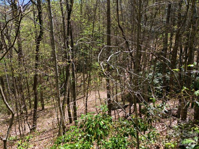9999 Lytle Cove Road Road, Swannanoa, NC 28778