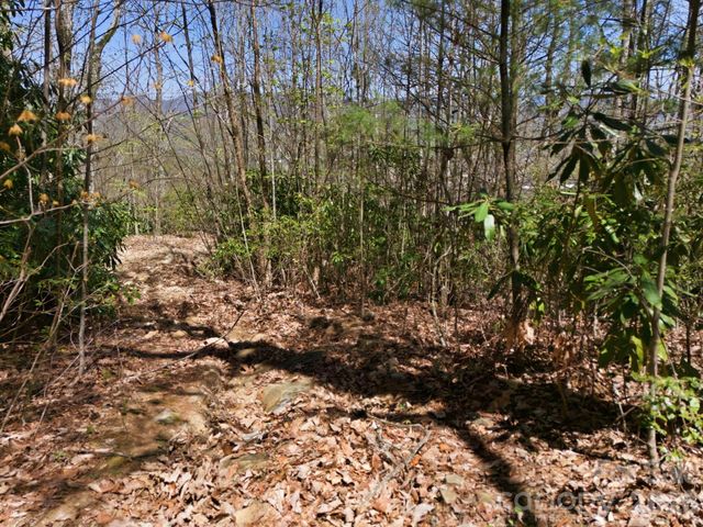 9999 Lytle Cove Road Road, Swannanoa, NC 28778