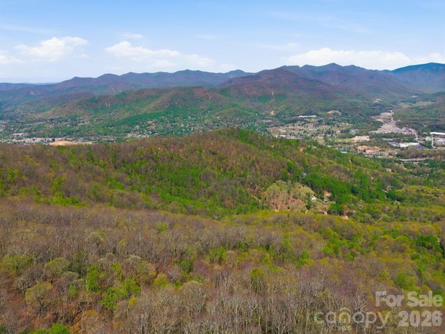 9999 Lytle Cove Road Road, Swannanoa, NC 28778