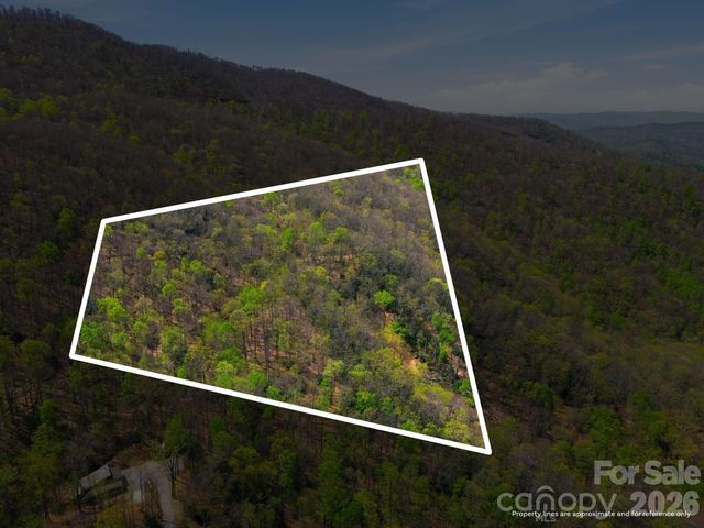 9999 Lytle Cove Road Road, Swannanoa, NC 28778