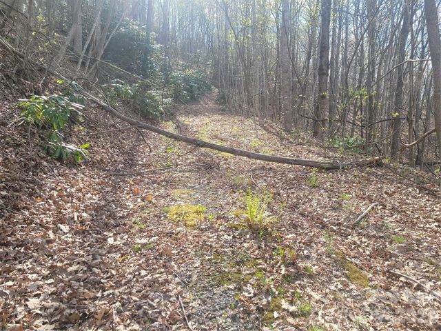 9999 Lytle Cove Road Road, Swannanoa, NC 28778