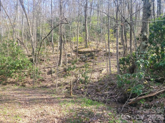 9999 Lytle Cove Road Road, Swannanoa, NC 28778