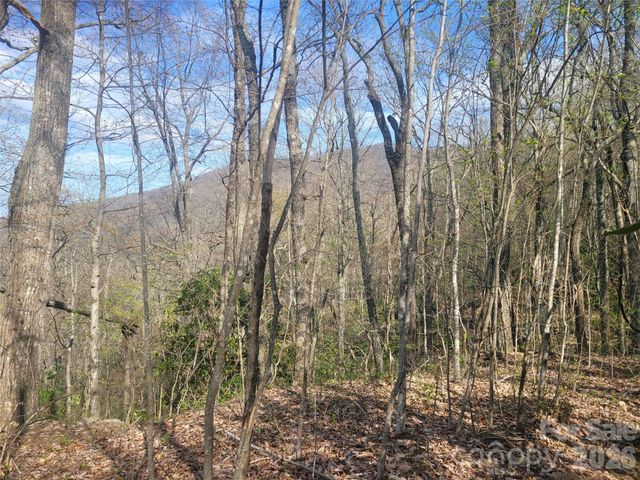9999 Lytle Cove Road Road, Swannanoa, NC 28778