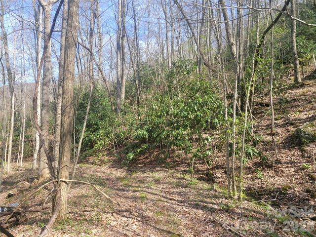 9999 Lytle Cove Road Road, Swannanoa, NC 28778
