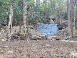 9999 Lytle Cove Road Road, Swannanoa, NC 28778