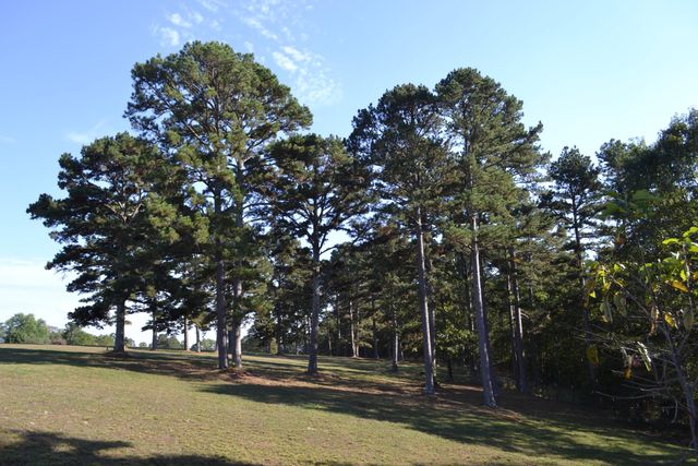 33202 Missouri State Highway East 14, Ava, MO 65608