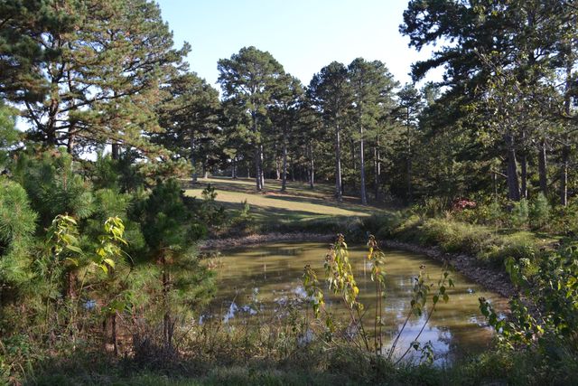 33202 Missouri State Highway East 14, Ava, MO 65608