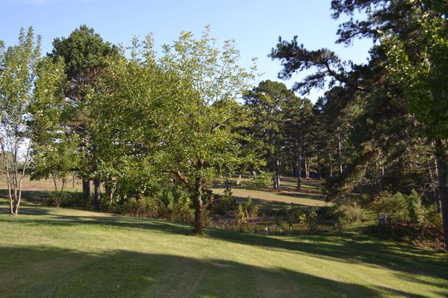 33202 Missouri State Highway East 14, Ava, MO 65608