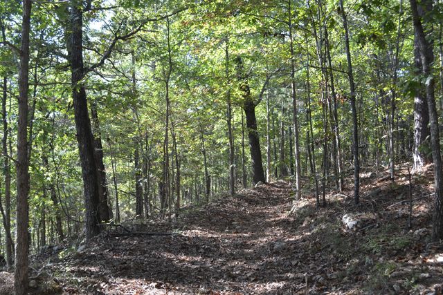 33202 Missouri State Highway East 14, Ava, MO 65608