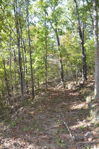 33202 Missouri State Highway East 14, Ava, MO 65608