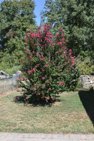 33202 Missouri State Highway East 14, Ava, MO 65608