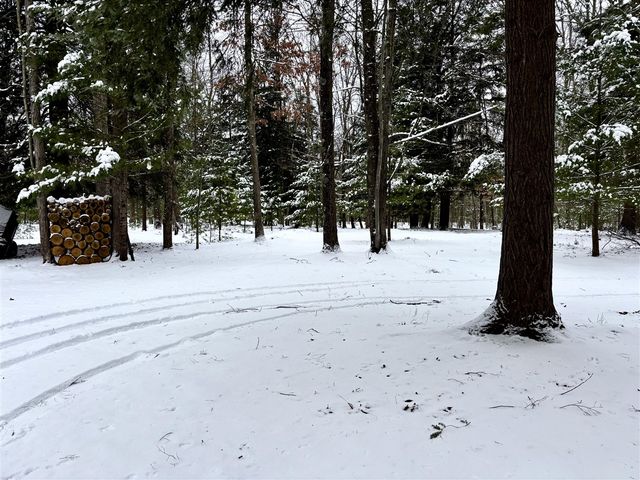 1089 Greensview Drive, Manistee, MI 49660