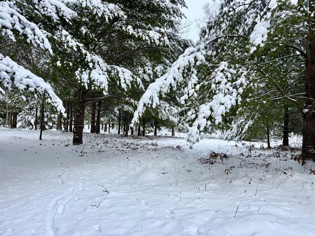 1089 Greensview Drive, Manistee, MI 49660