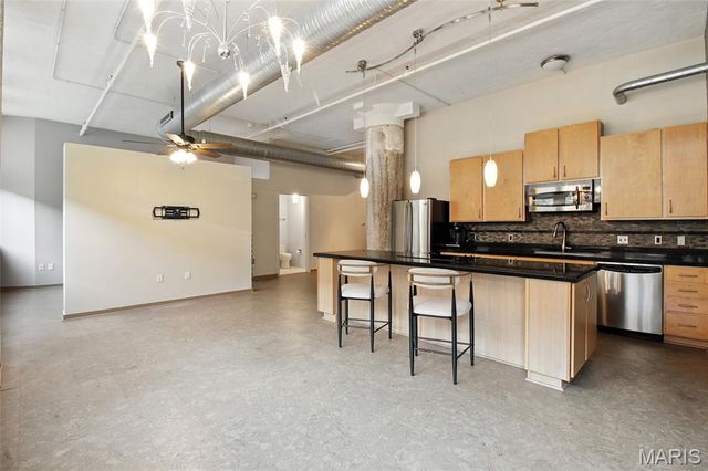 1627 Locust Street 202, St Louis, MO 63103
