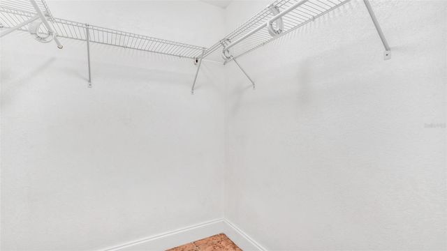 3913 OAK LIMB COURT, Tampa, FL 33614