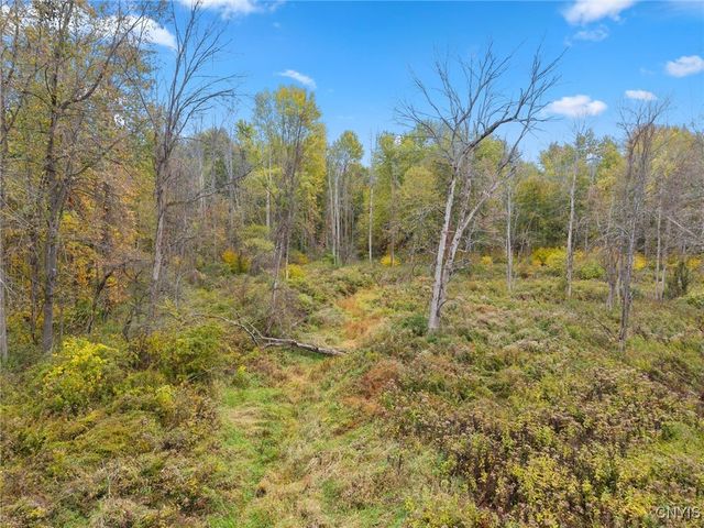 15196 State Route 104, Sterling, NY 13111