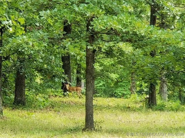 58 Edge Water Road, Eufaula, OK 74432