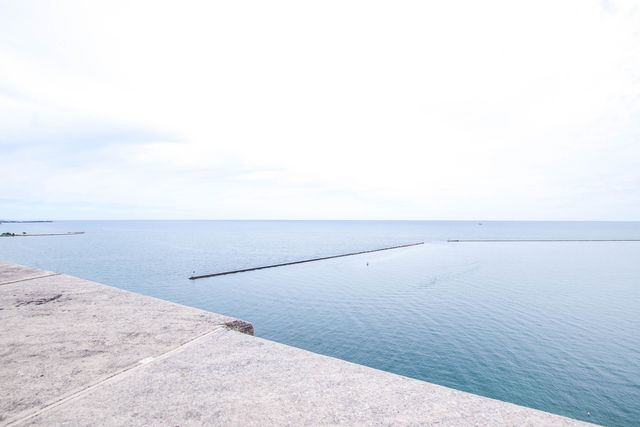 850 N Lake Shore Drive 1310, Chicago, IL 60611