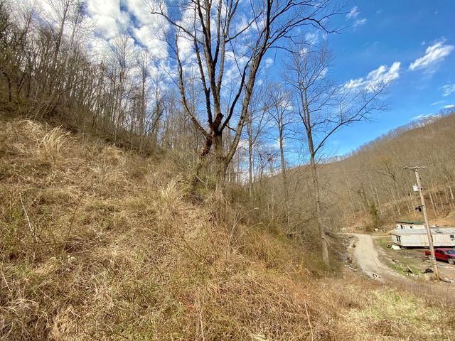 1344 Potato Branch Road, Topmost, KY 41862