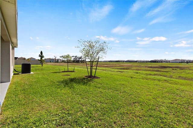 6250 WANDERING WILLOW DRIVE, Wesley Chapel, FL 33545