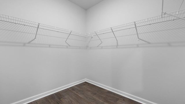 8027 Precious Court, Ravenel, SC 29470