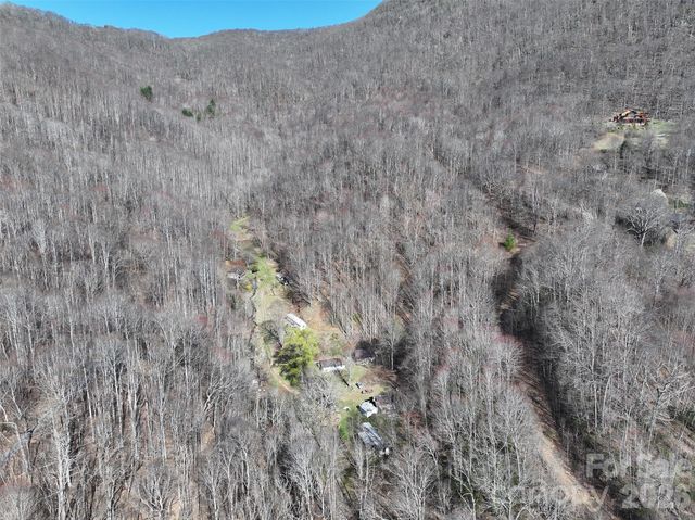 1002 Ned Cove Road, Waynesville, NC 28785