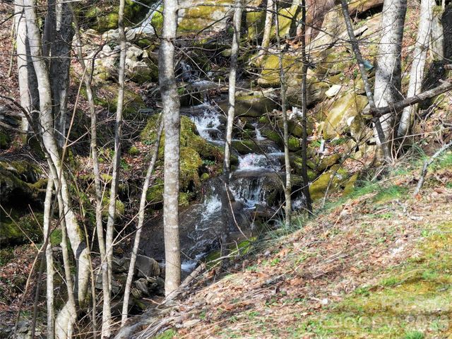 1002 Ned Cove Road, Waynesville, NC 28785