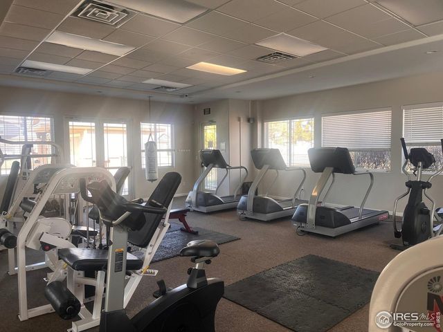 255 Alden Dr, Loveland, CO 80537