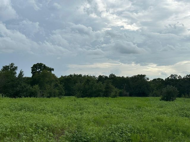 8616 Schuster Road, Ledbetter, TX 78946