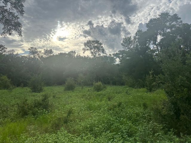 8616 Schuster Road, Ledbetter, TX 78946