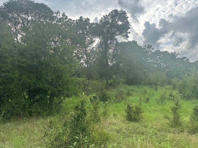 8616 Schuster Road, Ledbetter, TX 78946