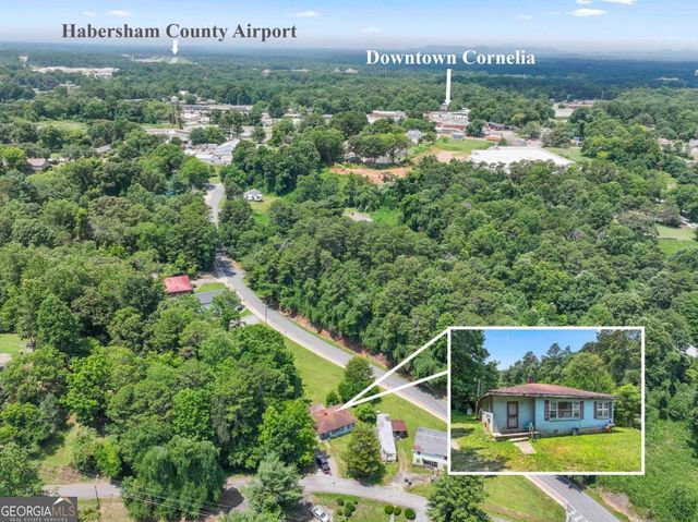 285 Carter Street, Cornelia, GA 30531