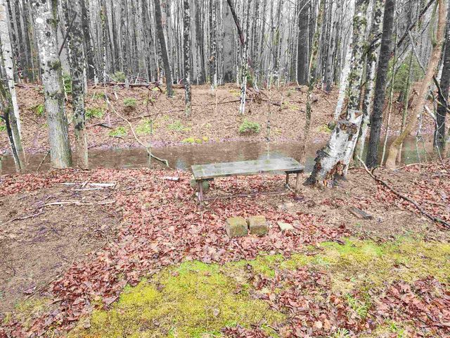 1191 Us Route 302, Bartlett, NH 03812