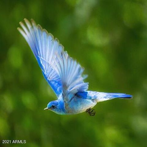 5666 W Dnp Test Listing Street 29, Tempe, AZ 85284