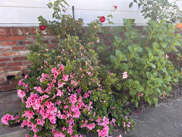 7654 Baird Way, Citrus Heights, CA 95610