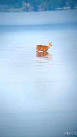 3001 NYS Rte 13 Street, Vienna, NY 13308