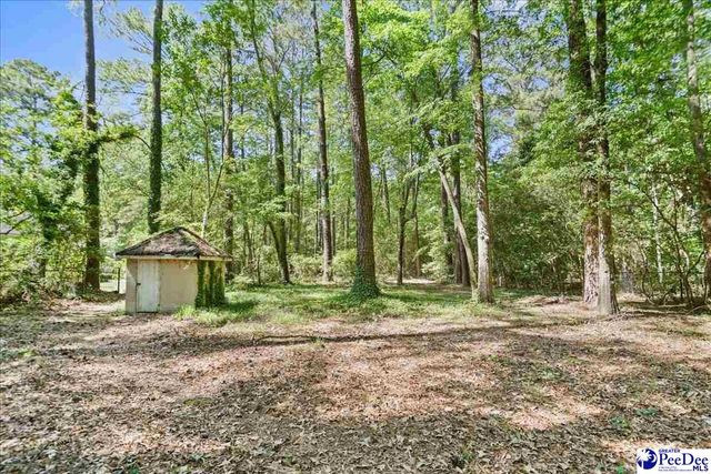 1319 Greenbriar, Harts, SC 29550