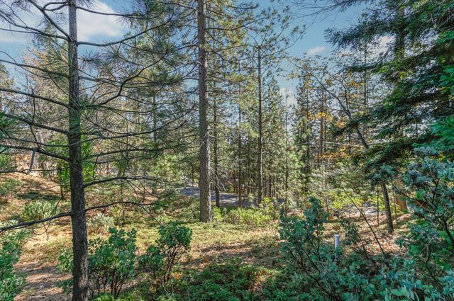 2637 Ruth Ln, Arnold, CA 95223