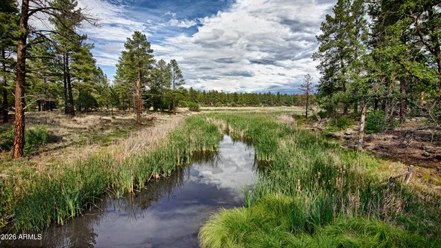 345 W Yavapai Lane, Pinetop-lakeside, AZ 85929