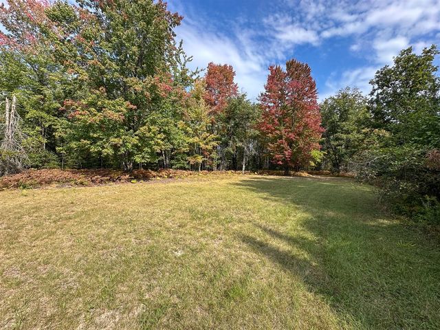 596 N River Road, Lake, MI 48632