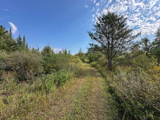 596 N River Road, Lake, MI 48632