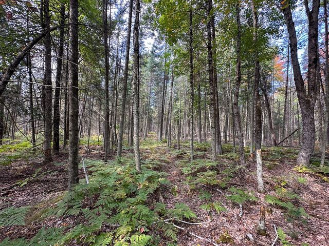 596 N River Road, Lake, MI 48632