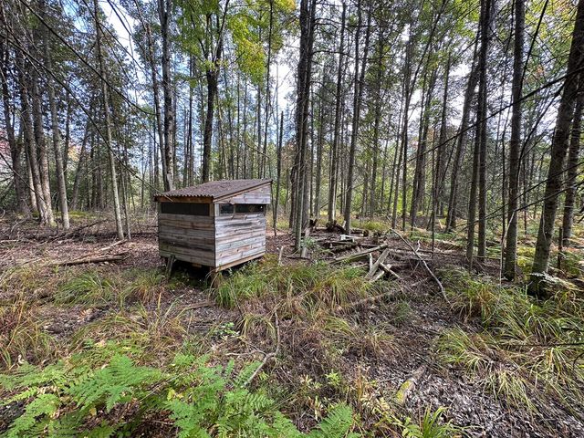 596 N River Road, Lake, MI 48632