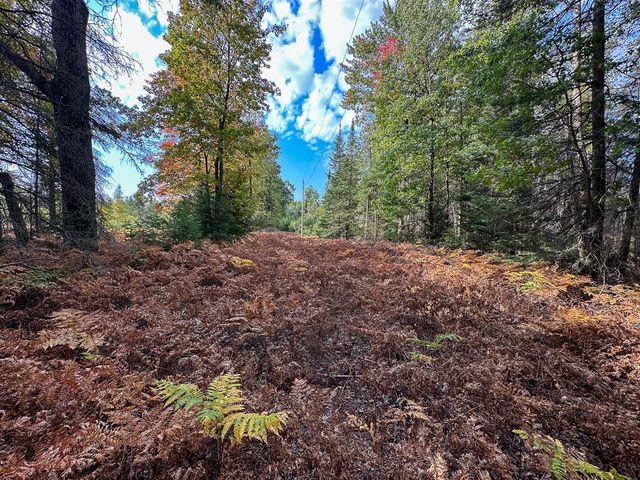 596 N River Road, Lake, MI 48632