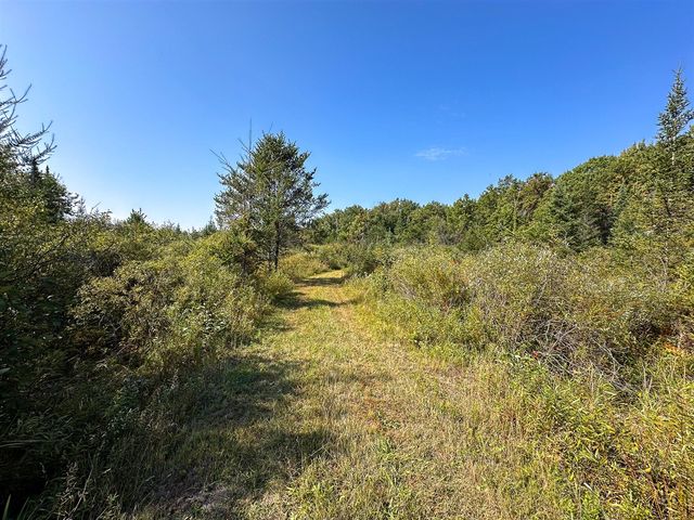 596 N River Road, Lake, MI 48632