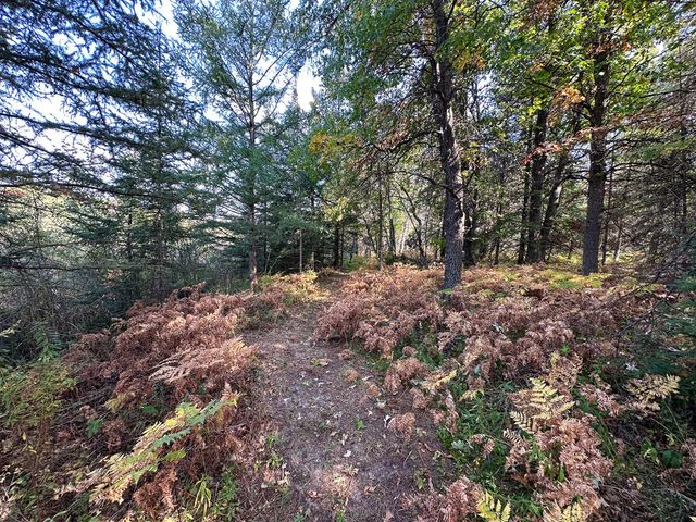 596 N River Road, Lake, MI 48632