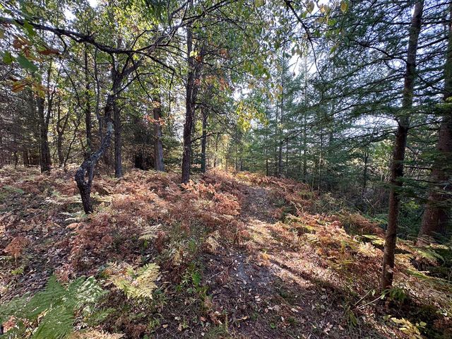 596 N River Road, Lake, MI 48632