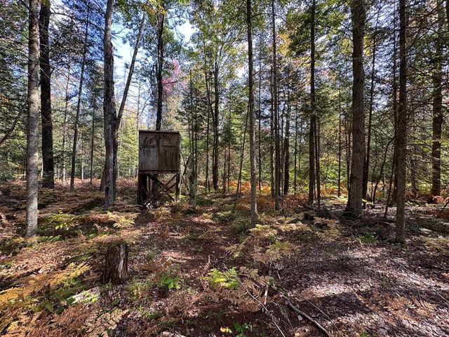 596 N River Road, Lake, MI 48632