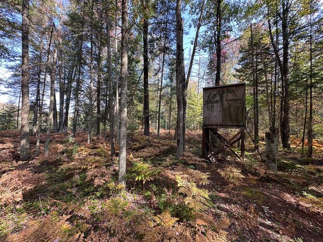 596 N River Road, Lake, MI 48632